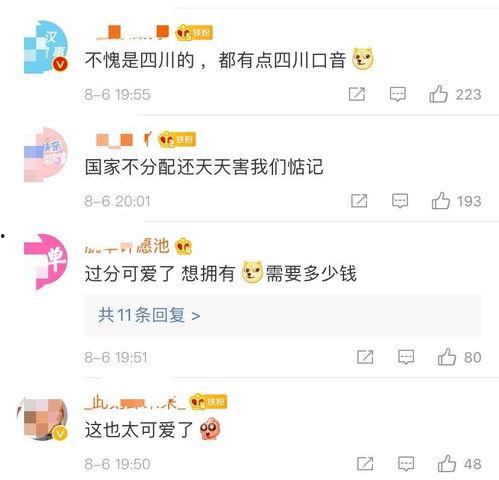 小朋友在成都爆料视频大全,童言无忌，趣味横生